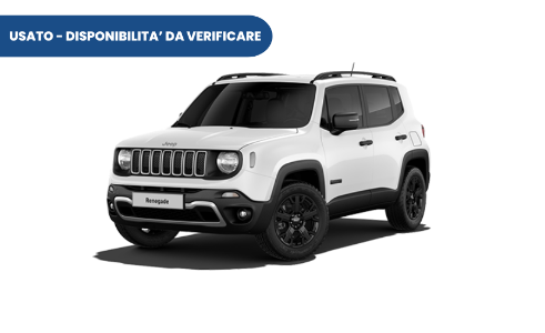 JEEPRenegade Usato