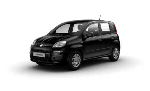FIATPandina Courtesy Car