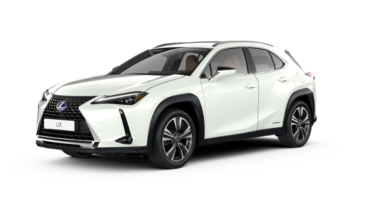 Noleggio lungo termine LEXUS UX UX Hybrid Business