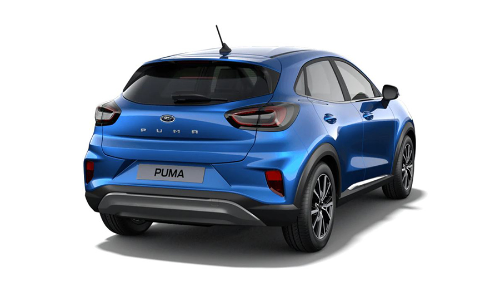 puma ok-copia-1434.jpg