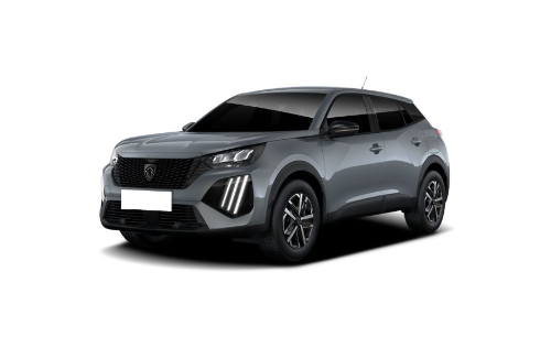 template per img r4y (7).jpg