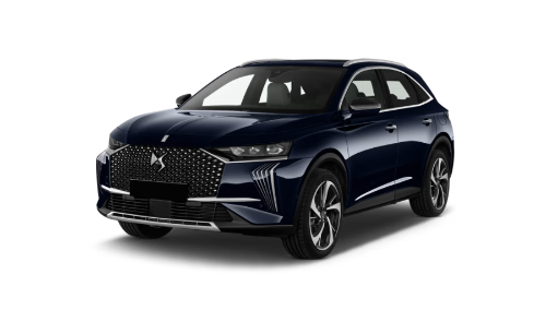 template per img r4y (82).png