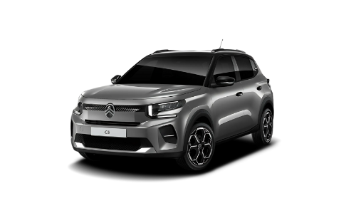 template per img r4y - 2024-12-13T093337.555.png