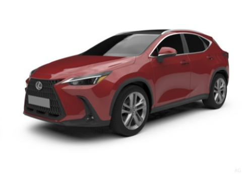 Anteriore Sinistra(1)(2)(3)(4)(5)(6)(7)(8)(9)(10)(11)(12)(13)(14)(15)(16)(17)(18)(19)(20)(21)(22)(23)(24)(25)(26)(27).jpg