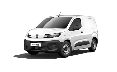 template per img r4y - 2025-05-30T093526.202.png