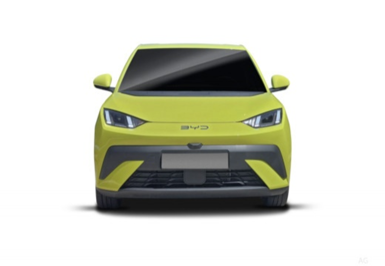 BYD Dolphin Surf - 2