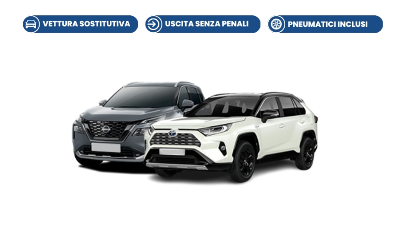 TOYOTA Large (Toyota RAV 4, Nissan X-Trail, Skoda Kodiaq) Large (Toyota RAV 4, Nissan X-Trail, Skoda Kodiaq)