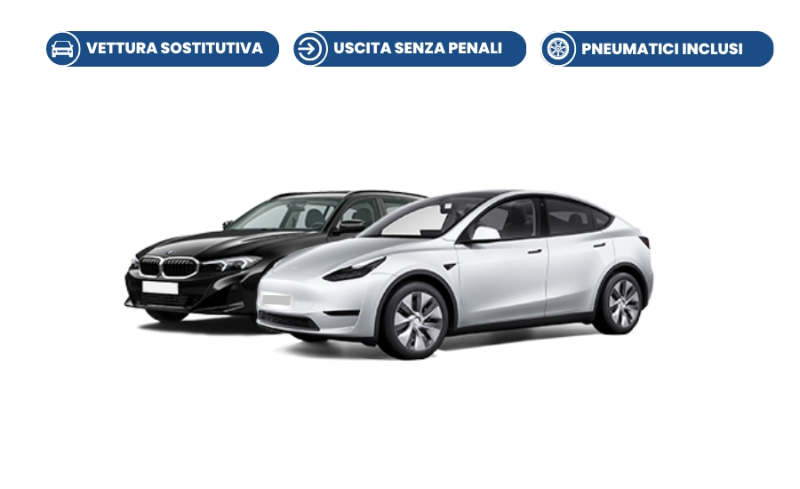 BMW Large Premium (BMW Serie 3, BMW X3, Tesla Model Y) Large Premium (BMW Serie 3, BMW X3, Tesla Model Y)